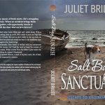 SaltBaySanctuary-KDPPaperback-New
